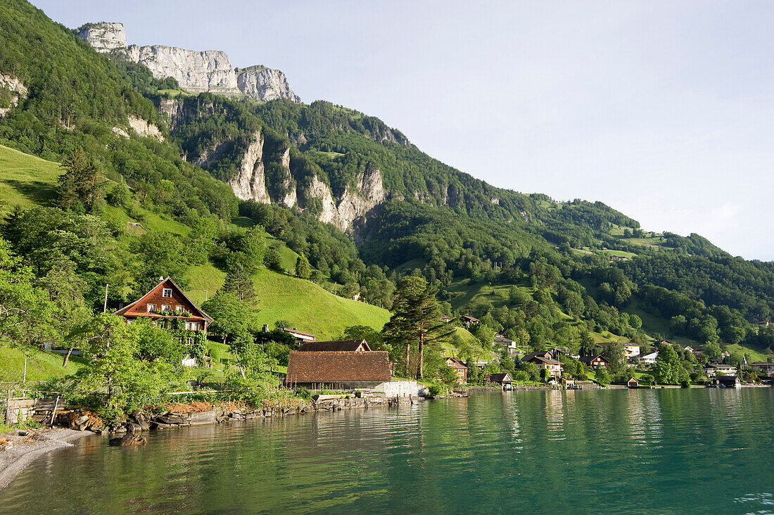 Bauen, houses on the bank of lake Lucerne, canton Uri, Switzerland, Europe