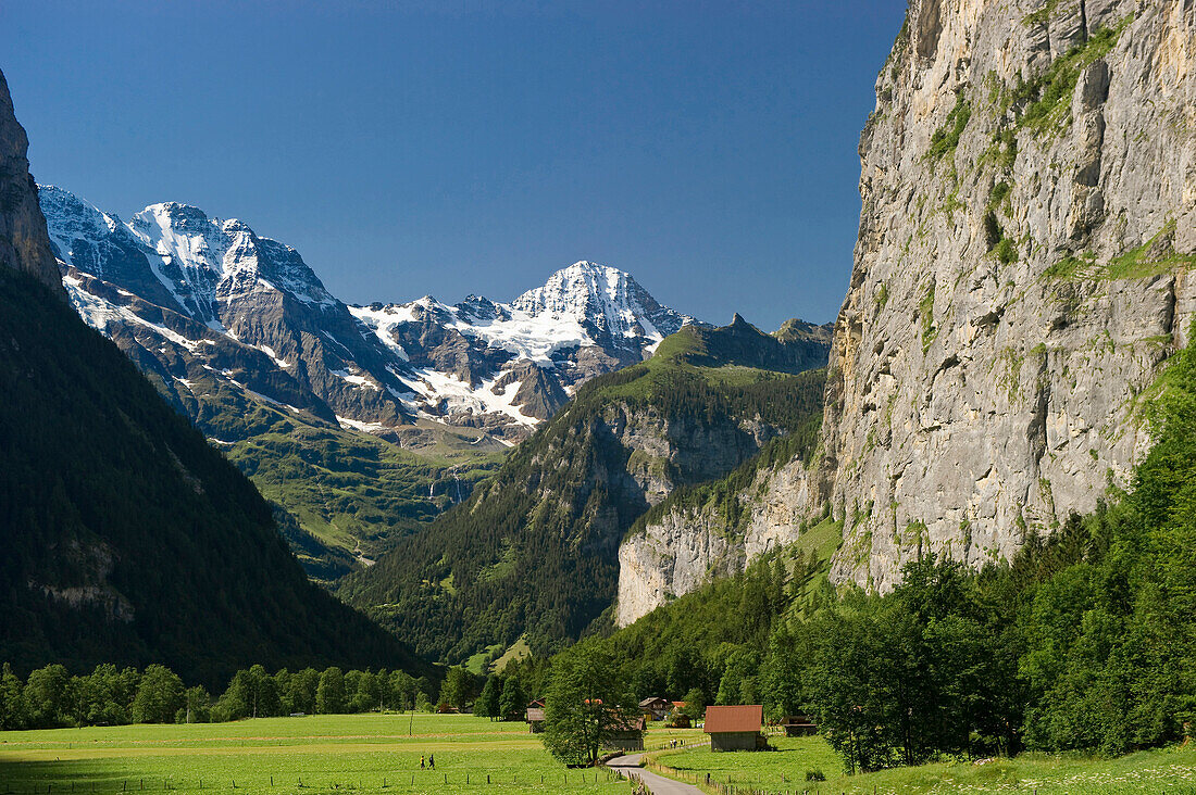 Sonnenbeschienene Wiese im Lauterbrunnental, Kanton Bern, Schweiz, Europa