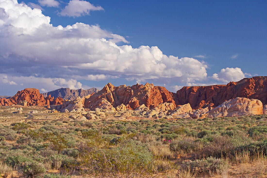 Valley of Fire State Park, Nevada, USA, America