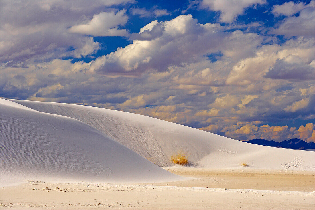 White Sands National Monument, New Mexico, USA, America