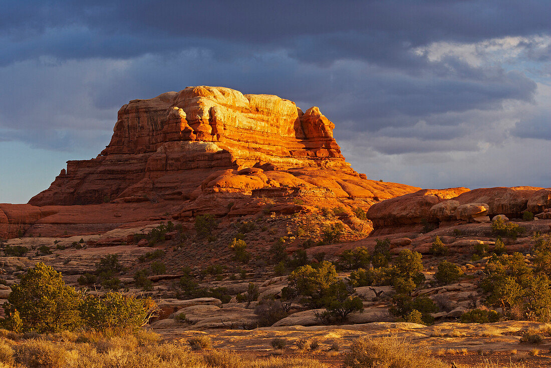 Last Sunrays, The Needles, Canyonlands National Park, Utah, USA, America