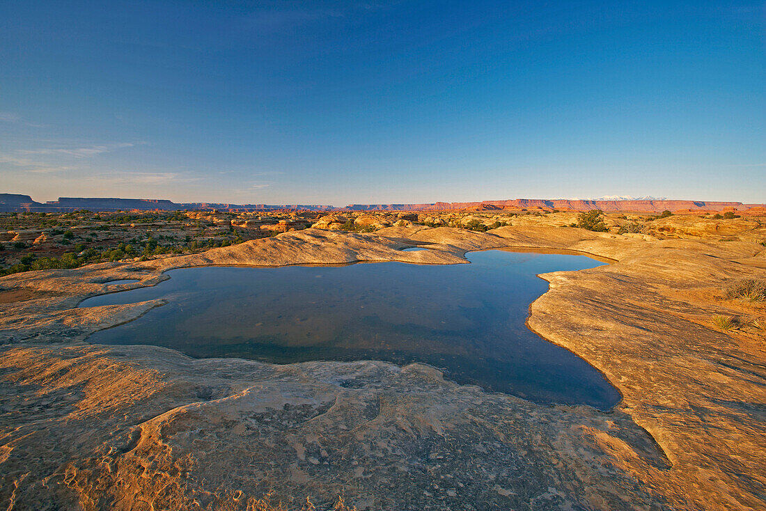 Sunset at the Potholes, The Needles, Canyonlands National Park, Utah, USA, America