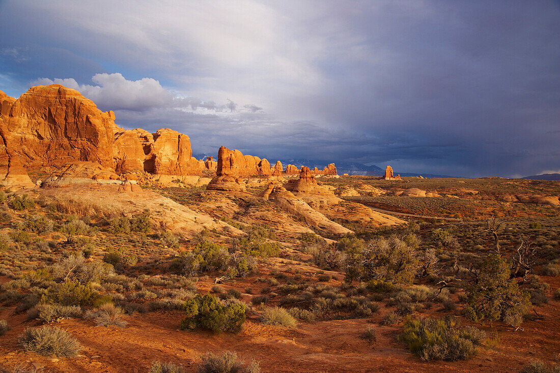 Blick über den Arches National Park, Utah, USA, Amerika