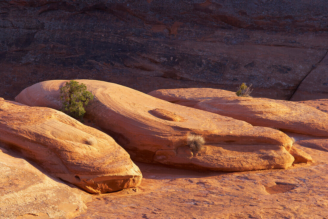 Rock formations near Delicate Arch, Sunset, Arches National Park, Utah, USA, America