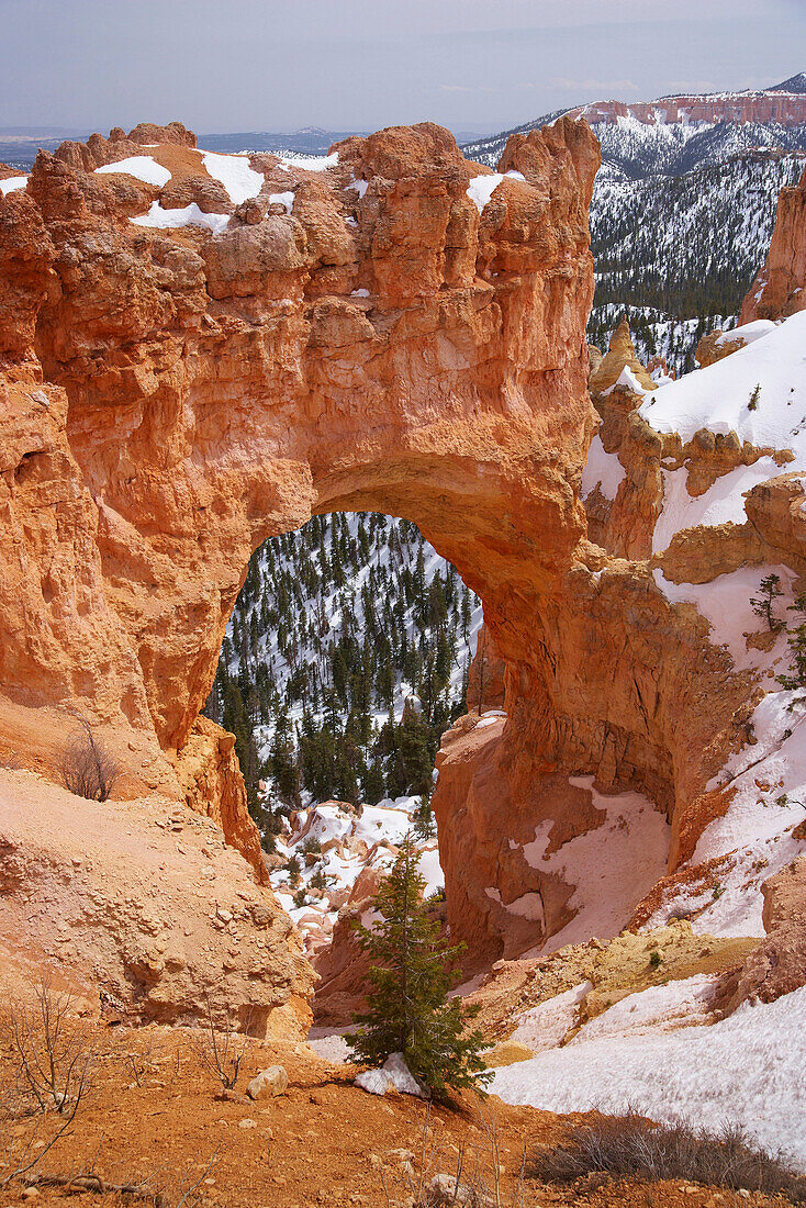 Natural Bridge, Bryce Canyon National Park, Utah, USA, Amerika