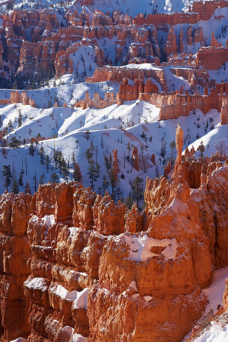 View from Sunset Point into Bryce Amphitheater, Bryce Canyon National Park, Utah, USA, America