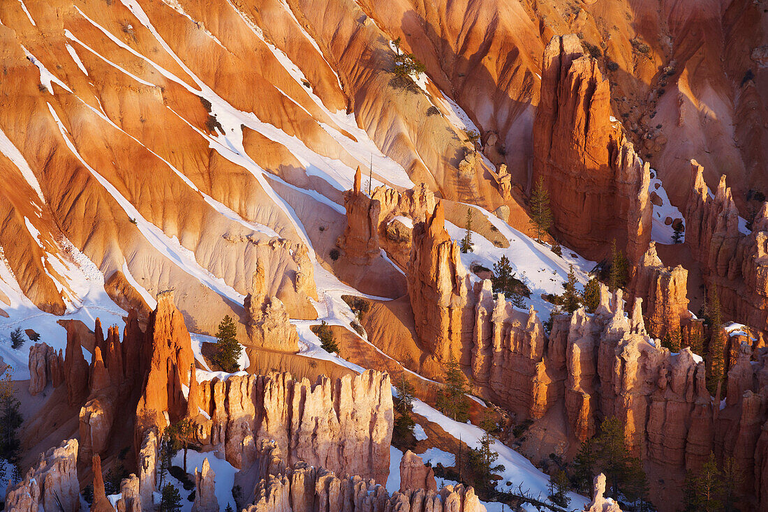 Blick vom Bryce Point in das Bryce Amphitheater, Bryce Canyon National Park, Utah, USA, Amerika