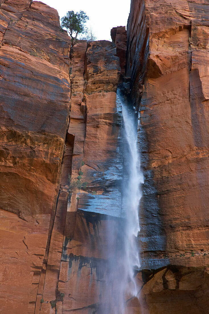 Waterfall at the Upper Emerald Pool, Zion National Park, Utah, USA, America