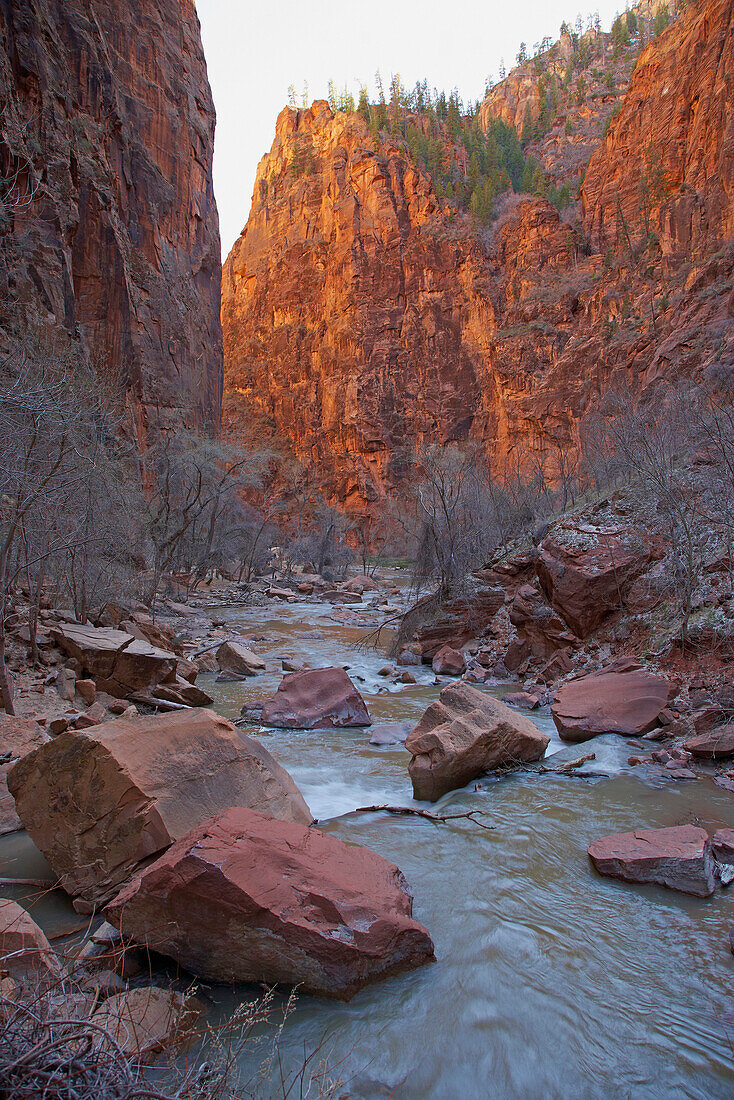 View into Zion Canyon, Riverside Walk, Zion National Park, Utah, USA, America