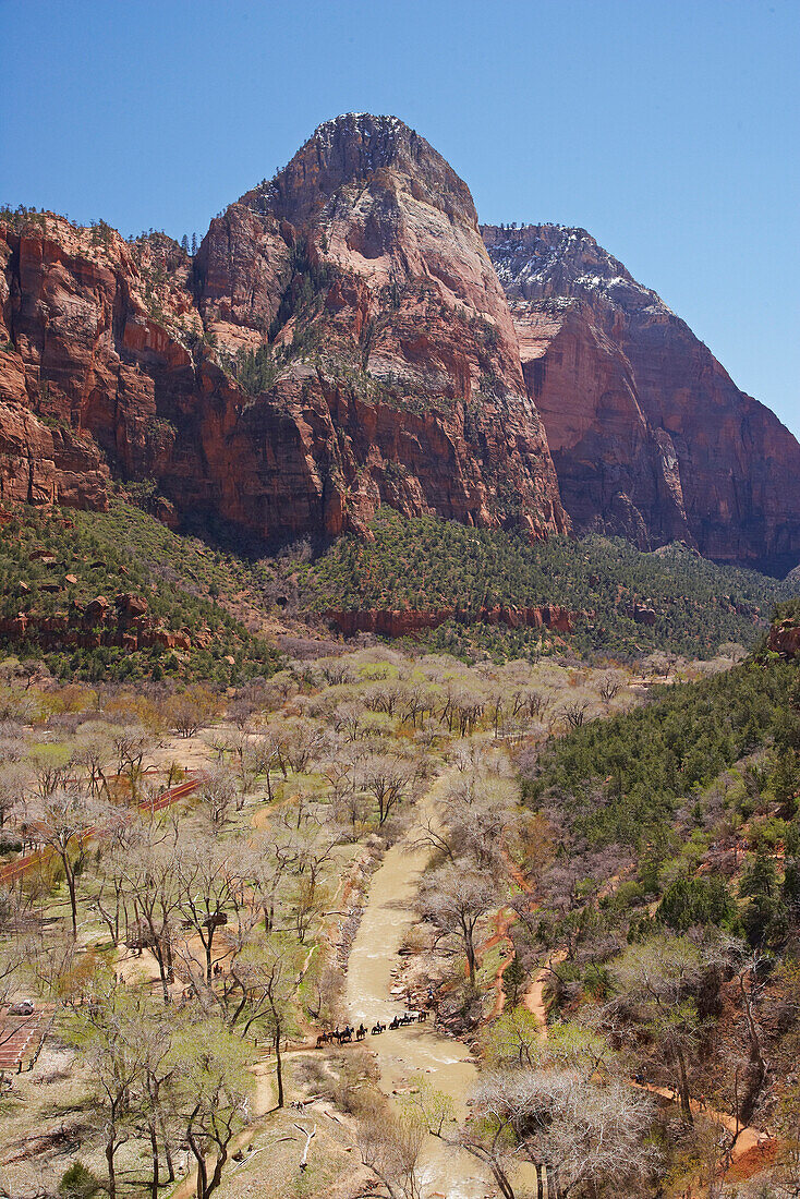 Reiter beim Überqueren des Virgin Rivers im Zion Canyon, Zion National Park, Utah, USA, Amerika