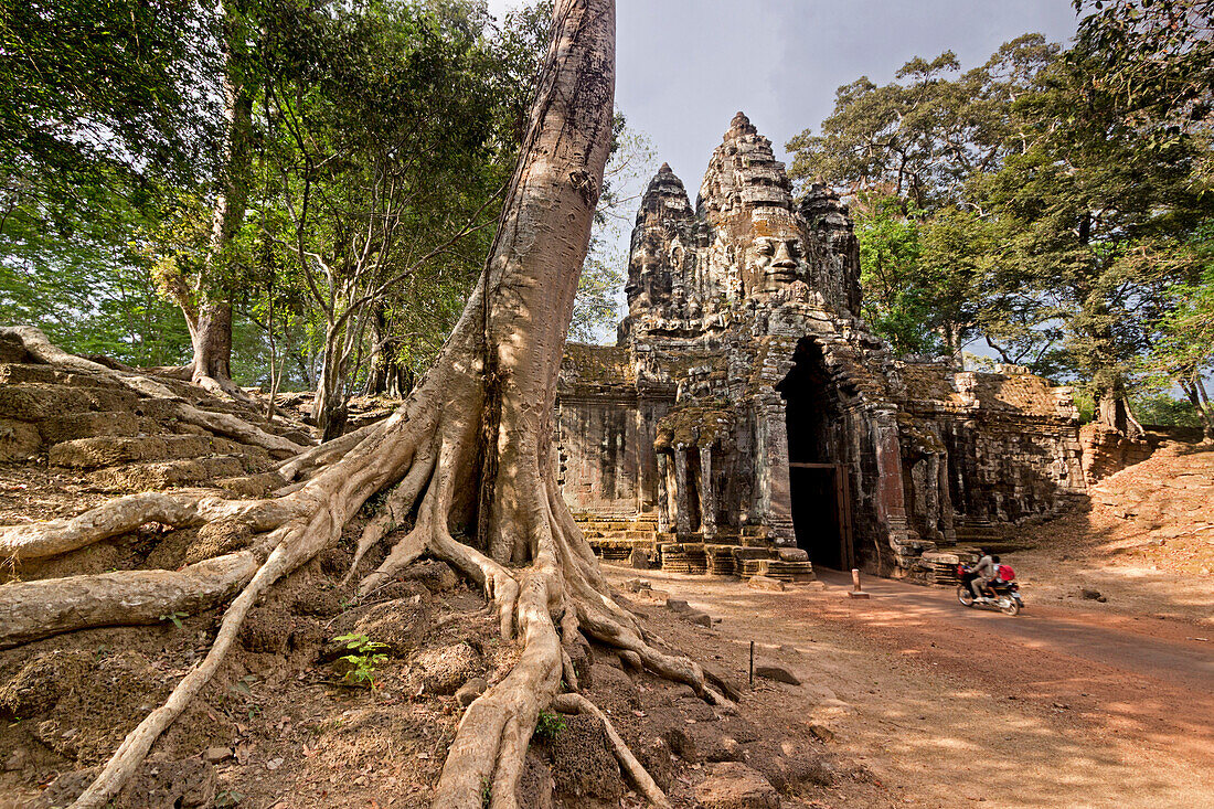 Baum am Süd Tor zum Ta Phrom Tempel, Gopuram mit Turm mit Gesichtern, Angkor Wat Tempel,  UNESCO Weltkulturerbe, Angkor, Kambodscha