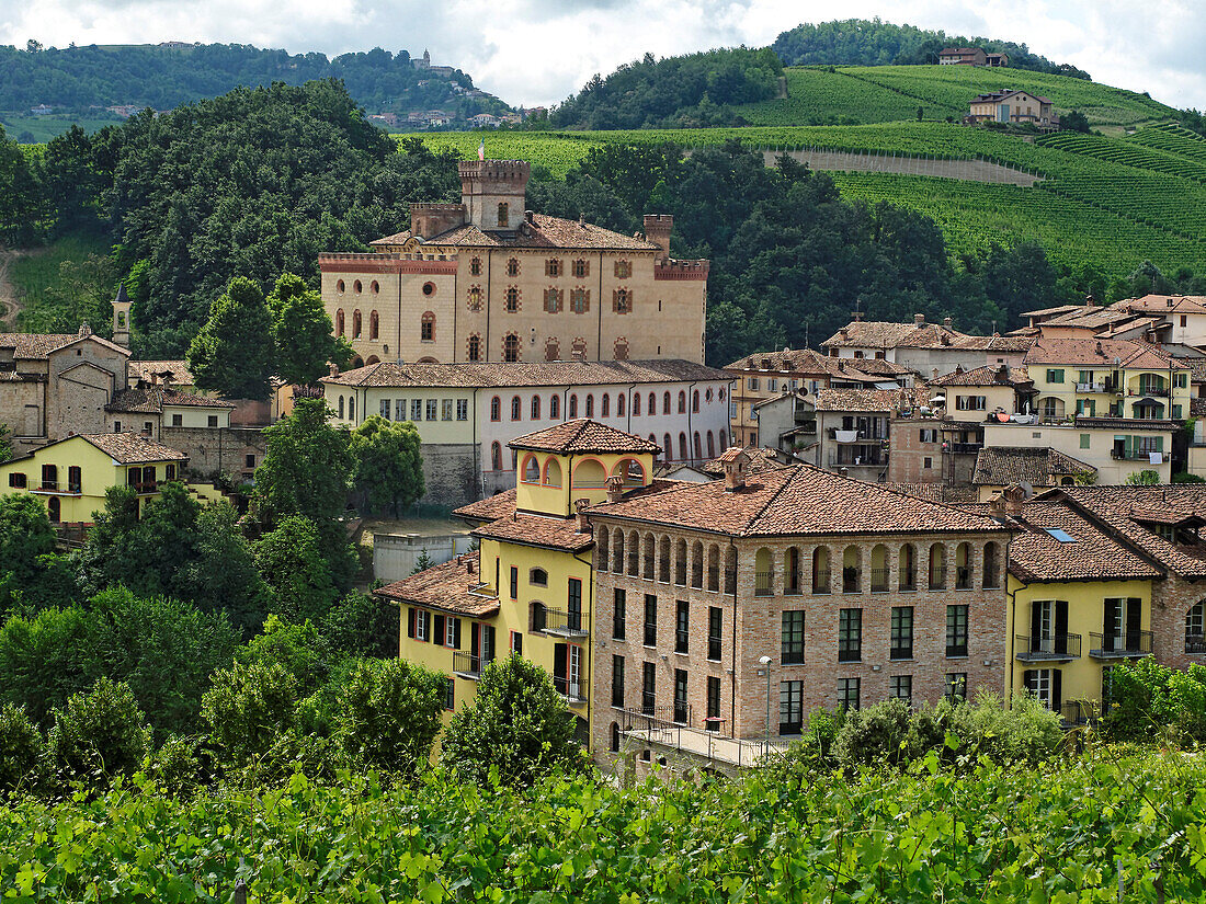 Weinanbau in Barolo, Castello di Barolo, Provinz Piemont, Italien