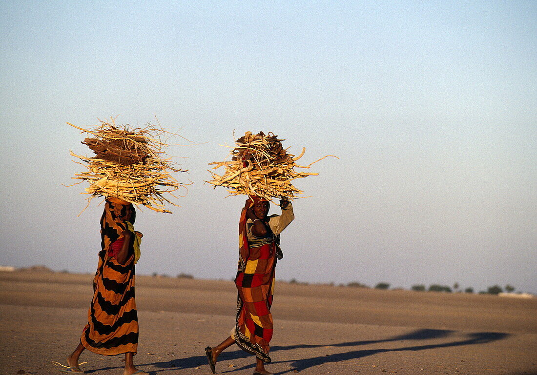 Nubian women carrying firewood, Sahara, Sudan, Africa