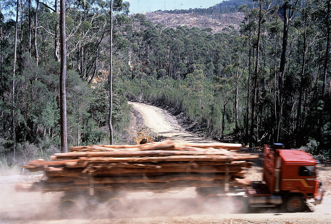 Langholztransporter und abgeholzte Lichtung, Tasmanien, Australien