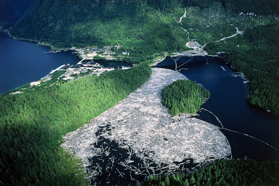 Luftaufnahme von im Wasser treibenden Baumstämmen, Britisch-Kolumbien, Kanada, Amerika