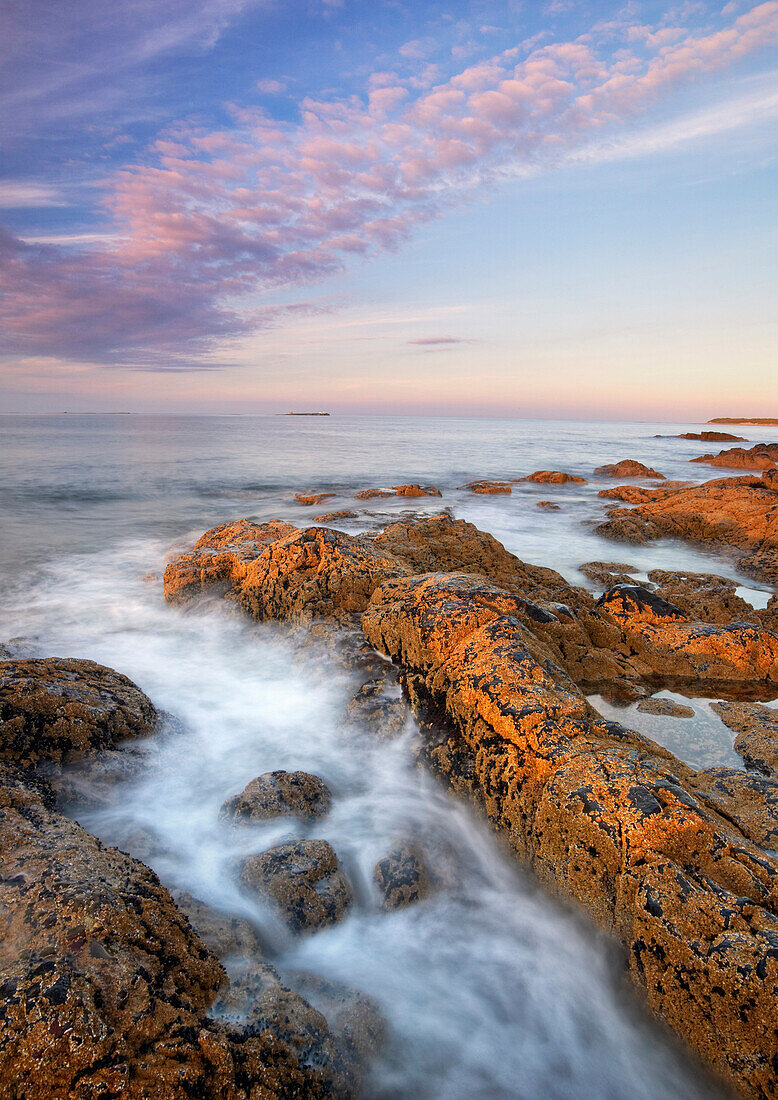 ROCKY SHORELINE with Farne Islands on … – License image – 70407575 ...