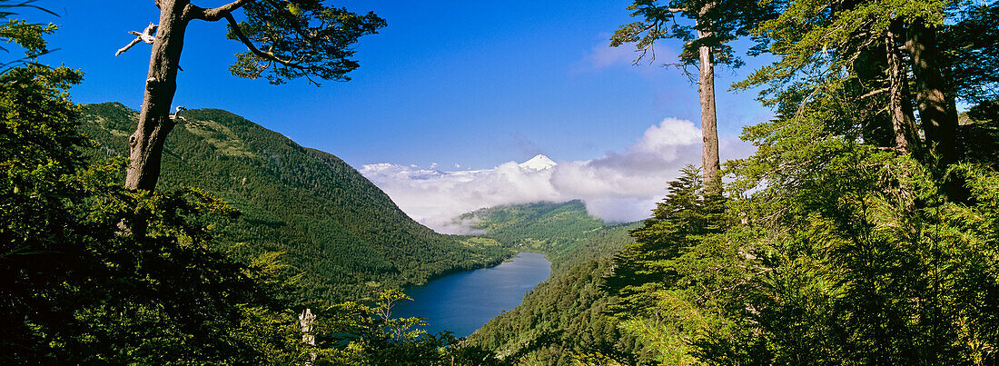 Lake Tincilco and Villarrica Volcano, Huerquehue National Park, Temuco, Araucania, Chile