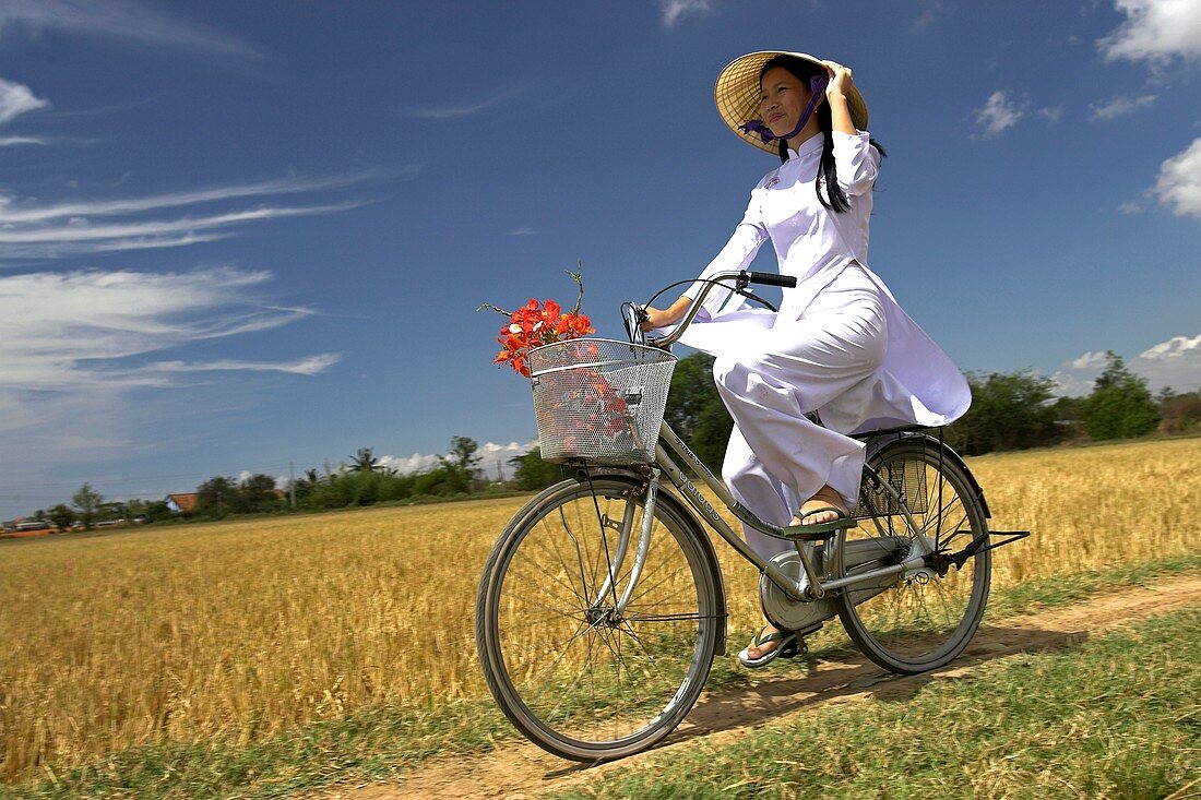 Young woman in conical hat and traditional white ao dai costume rides bicycle in rice fields near Phan Thiet south east Vietnam