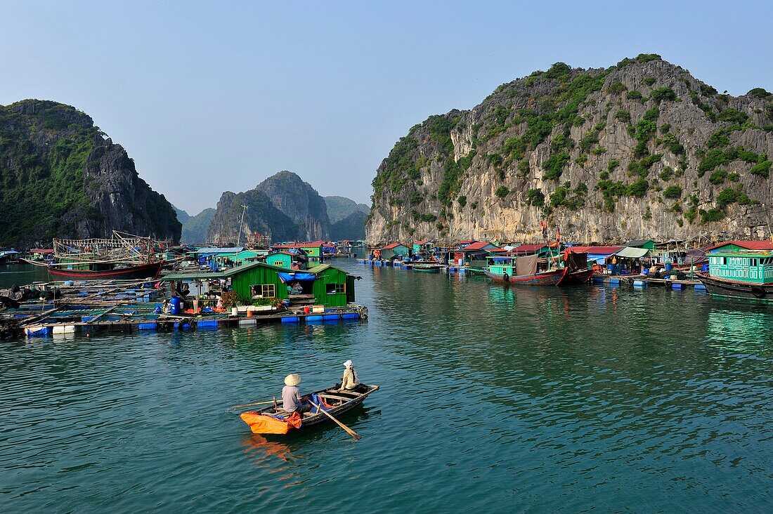 Asia,South East Asia,Vietnam,houses boats in Cat Ba Island,Halong Bay