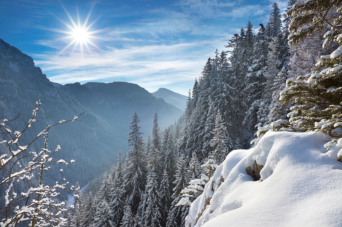 Koscieliska Valley, Tatra Mountains, Poland, Europe