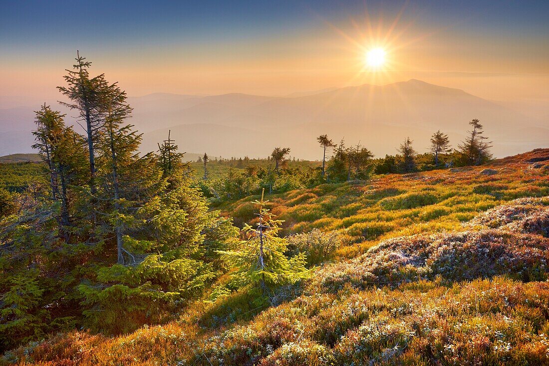 Sunrise at Pilsko Peak, Beskidy Mountains, Poland, Europe