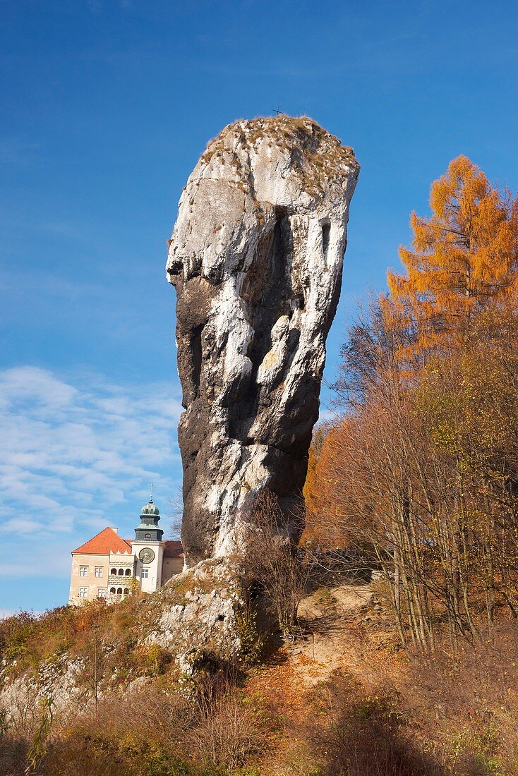 The rock known as ´Hercules Club´, Ojcow National Park, Poland, Europe