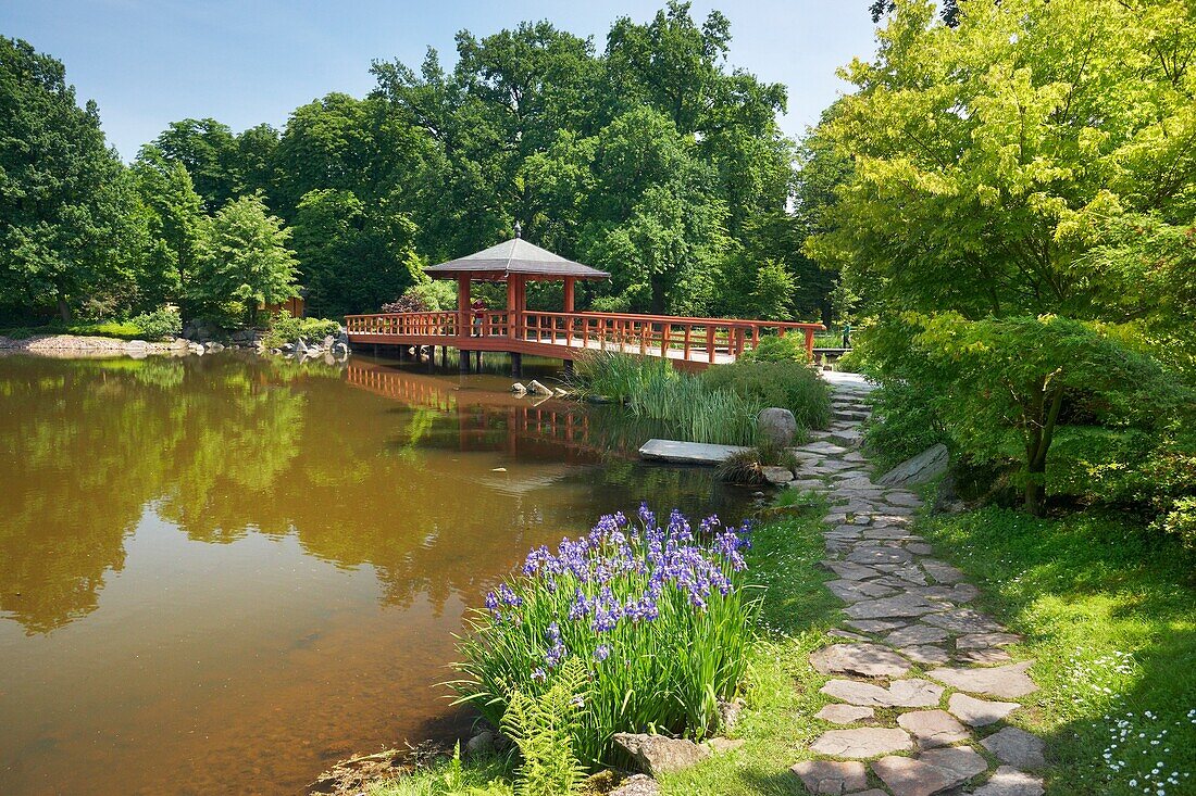 Wroclaw, Japanese Garden in Szczytnicki City Park, Poland