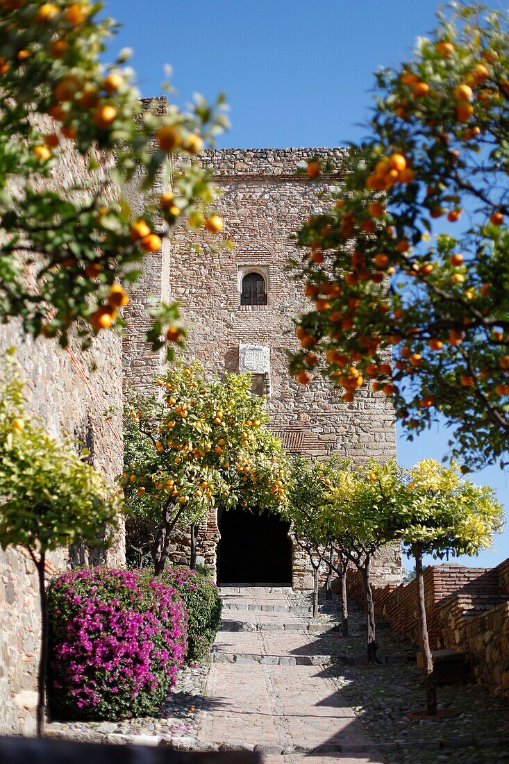 Alcazaba in Malaga, Spain