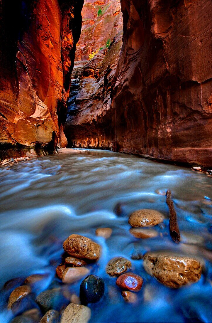 Virgin River in Zion National Park