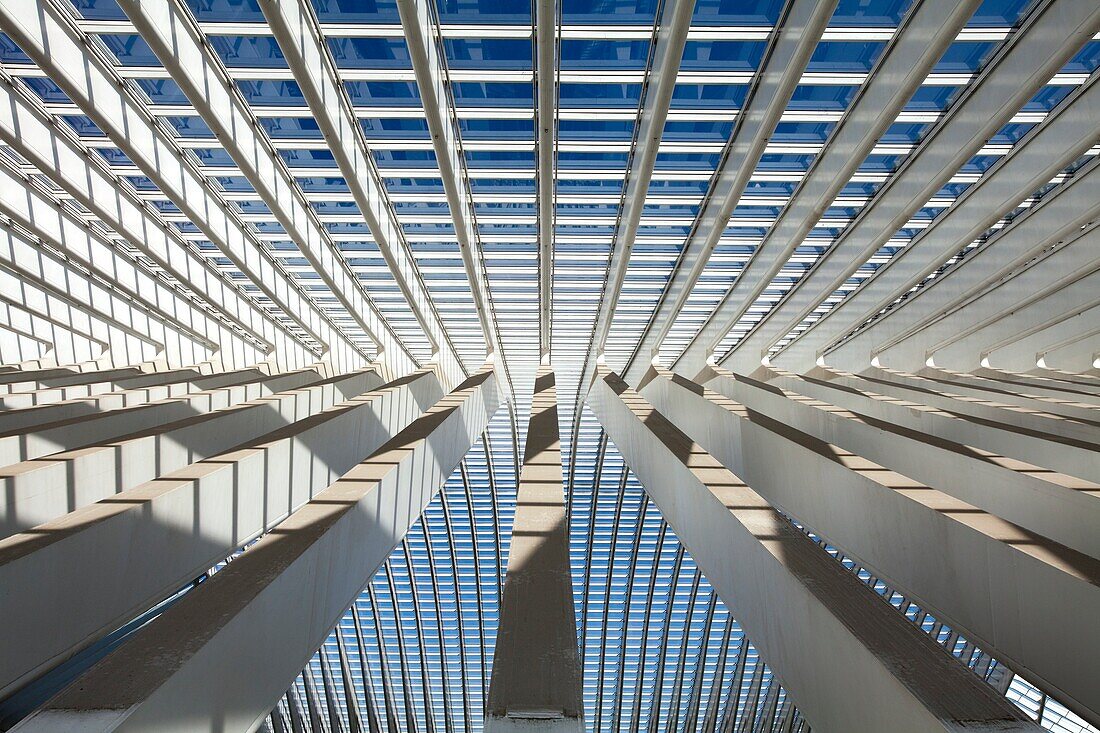 Detail of the roof, Gare de Liège-Guillemins railway station, Liege, Wallonia, Belgium, Europe