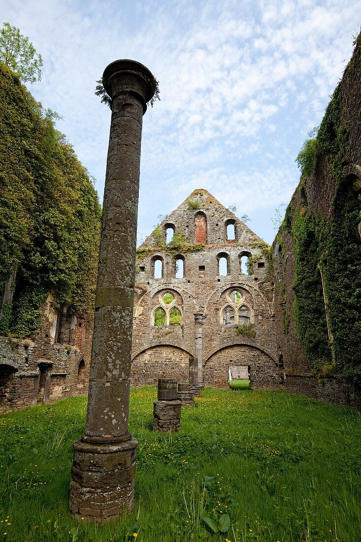 Ruins of the Cistercian Abbey of Villers, Villers-la-Ville, province of Walloon Brabant, Wallonia, Belgium, Europe