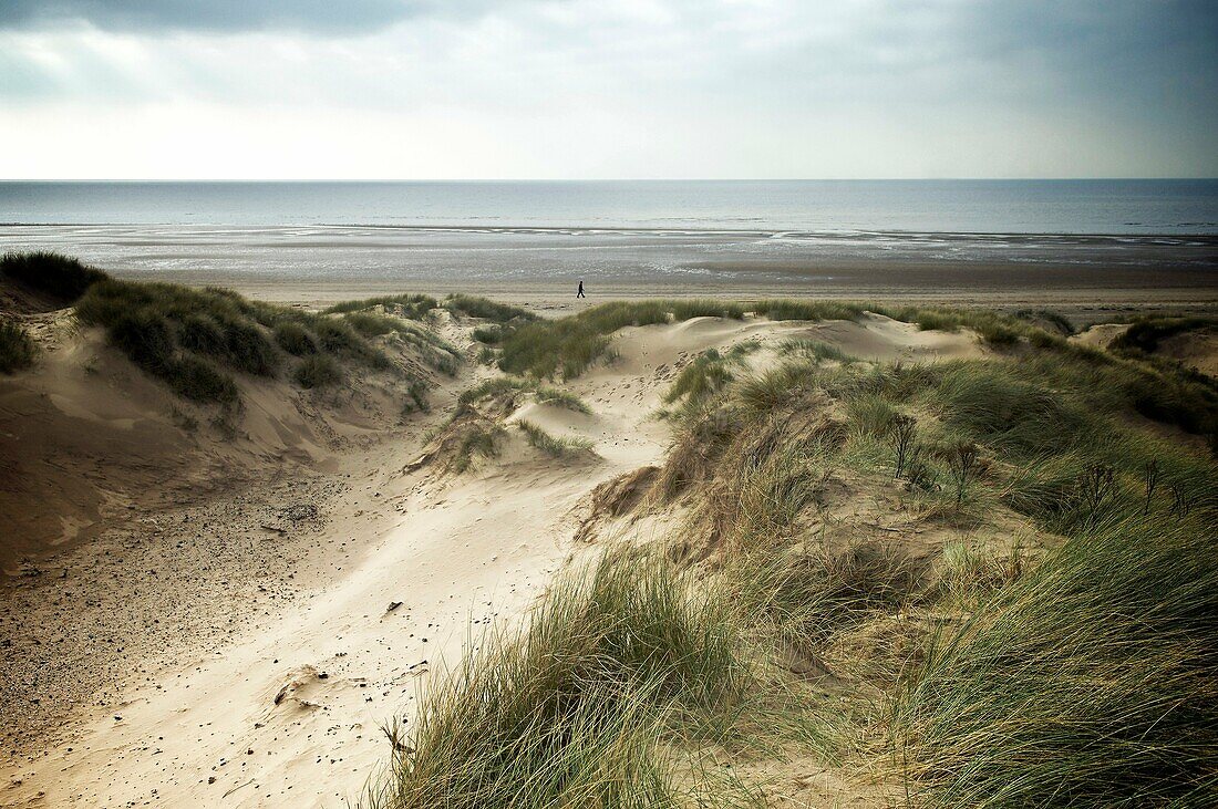 A solitary figure walks along the beach between the sand dunes and the sea