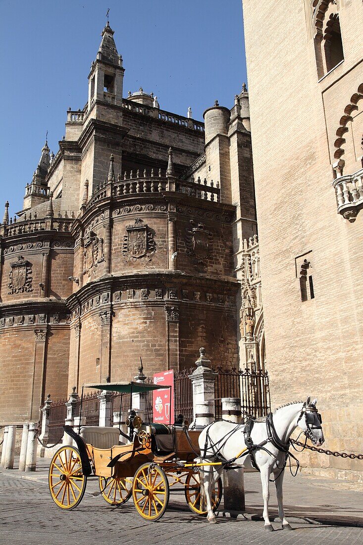 Catedral de Sevilla, Spain, Europe