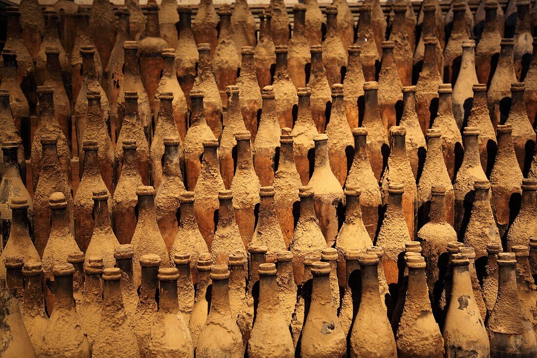 Tio Pepe Wine Museum, Bodegas Gonzalez Byass, Jerez de la Frontera, Andalucía, Spain, Europe