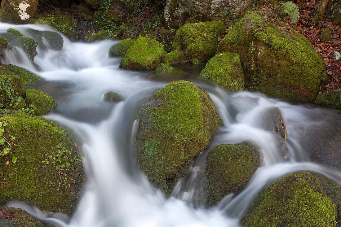 River Ason, Collados del Ason, Cantabria, Spain