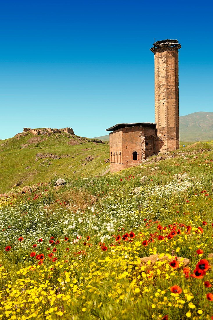 The Seljuk Turk Mosque of Ebul Minuchihr Minuchir built in 1072, Ani archaelogical site on the ancient Silk Road , Kars , Anatolia, Turkey