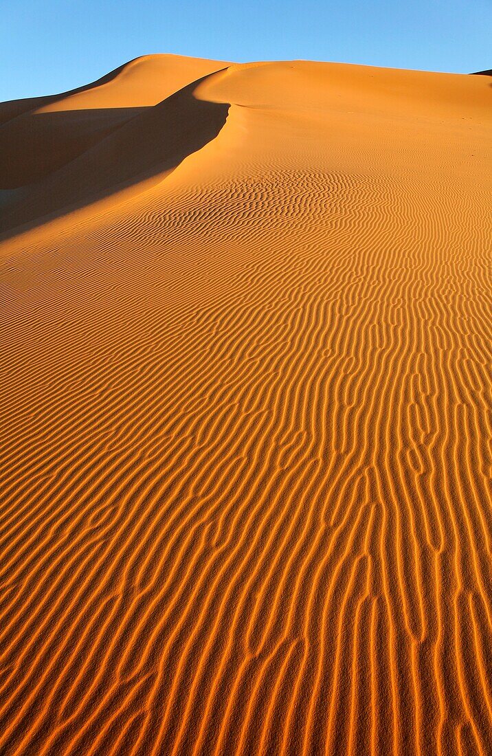 Sand dunes of the Sahara Desert, Libya – License image – 70412609 ...