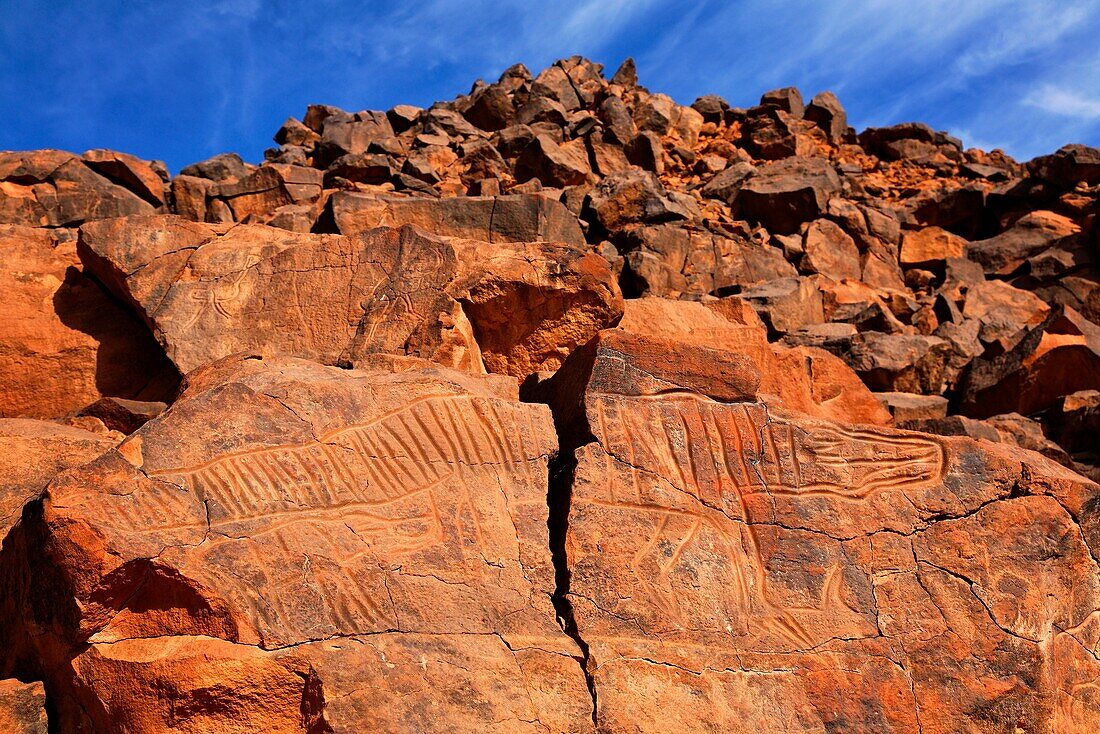 Ancient engraving of a crocodile at the Wadi Matkhandouch, Libya