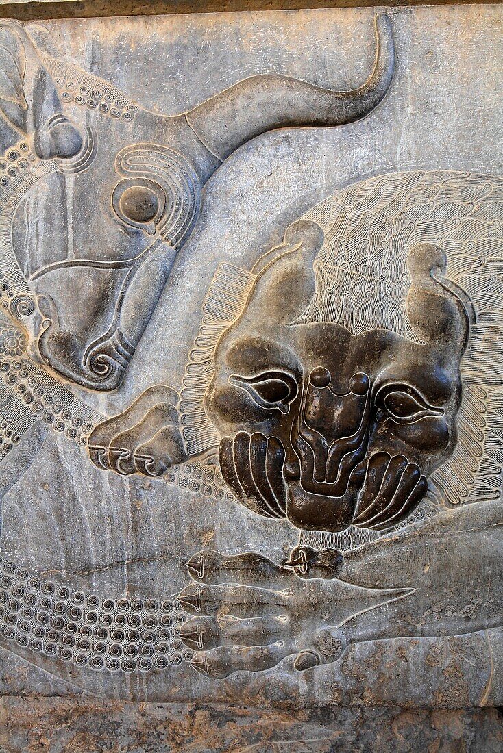 Bas relief carving of a lion hunting a bull at Perspolis, Iran