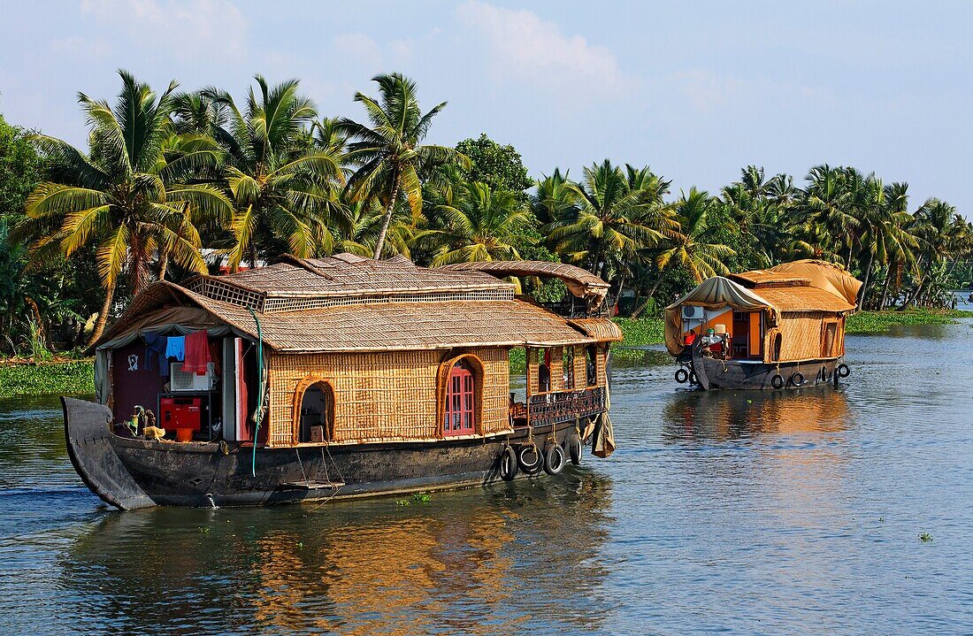 Houseboats on the Kerala Backwaters, Kerala, India