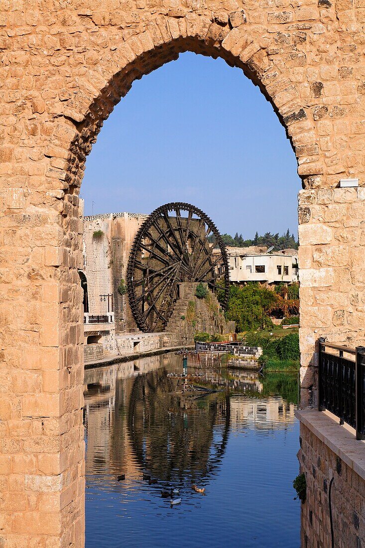 Water wheel at Hama, Syria