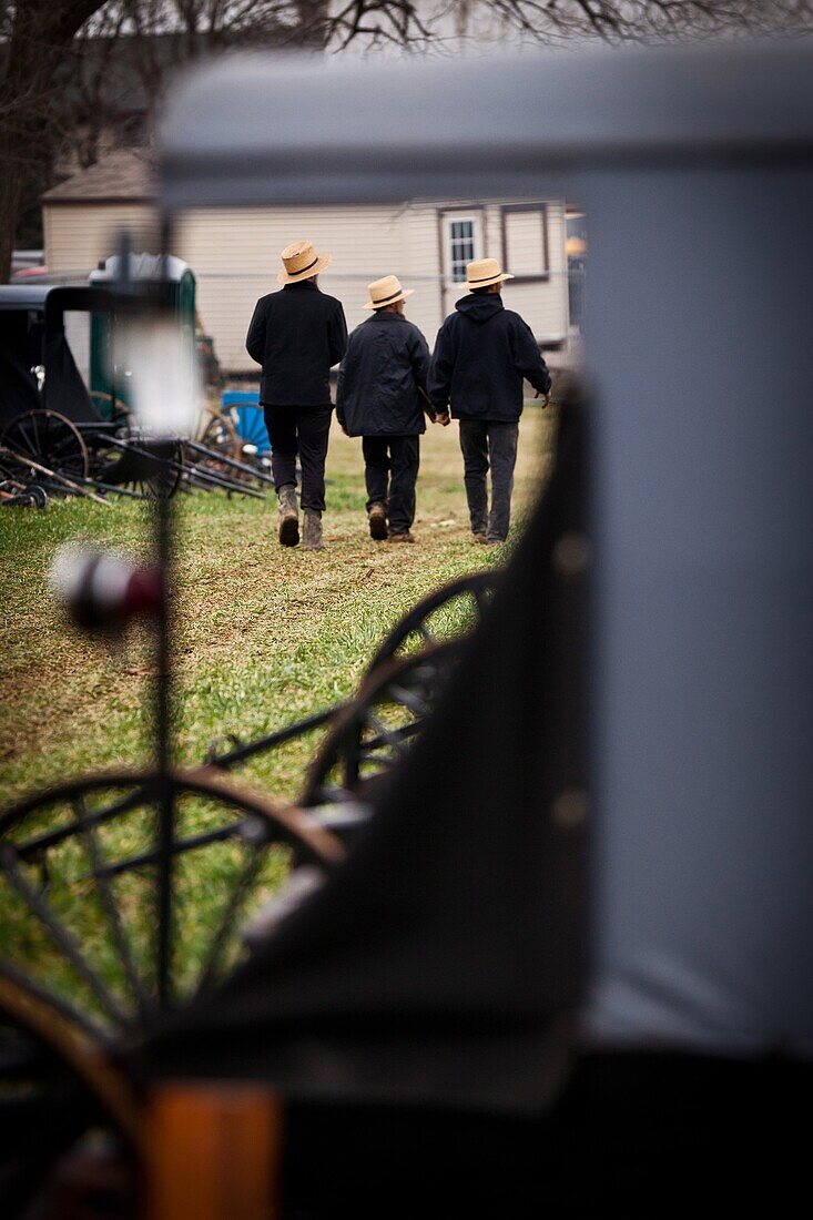 Amish men inspect horse buggies ready for auction during the Annual Mud Sale to support the Fire Department in Gordonville, PA