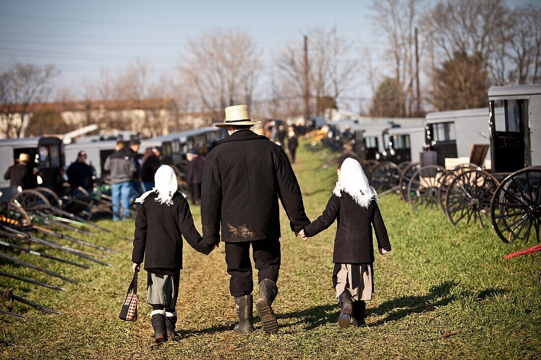 Amish man walks with his children past dozens of buggies ready for auction during the Annual Mud Sale to support the Fire Department in Gordonville, PA