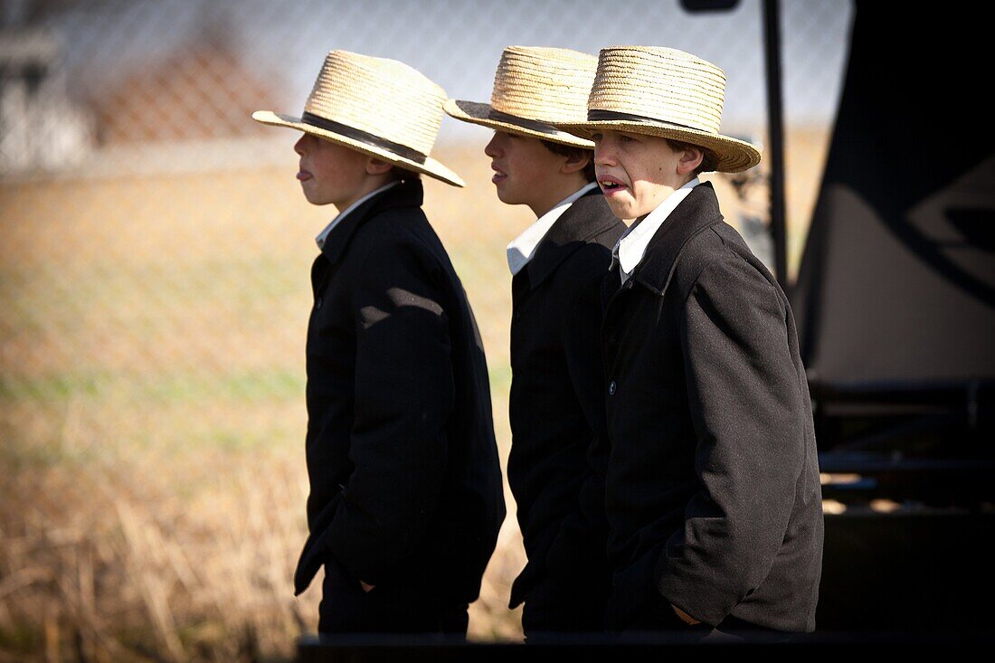 Amish boys during the Annual Mud Sale to support the Fire Department in Gordonville, PA