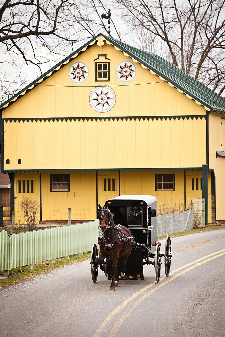 Traditional Amish horse buggy passes an Amish barn with hex sign Mascot, PA