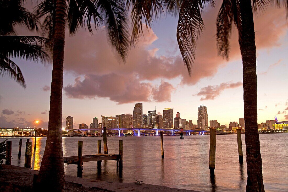 the illuminated Skyline of Downtown Miami, Florida, USA