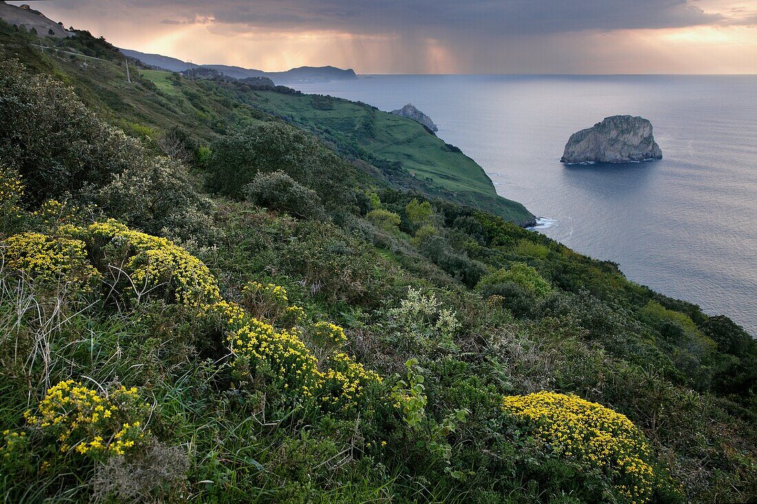 Cape Matxitxako Cliffs, Biosphere Reserve Urdaibai, Bermeo, Biscay, Basque Country, Spain