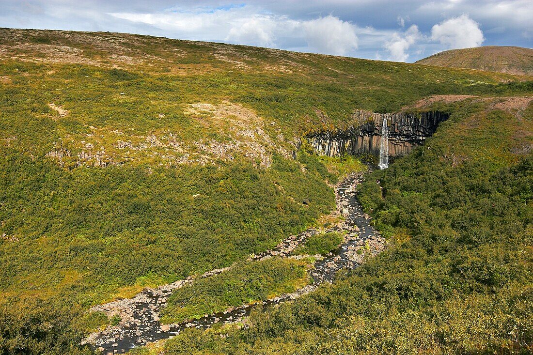 Svartifoss Waterfall, Skaftafell ational Park, Iceland