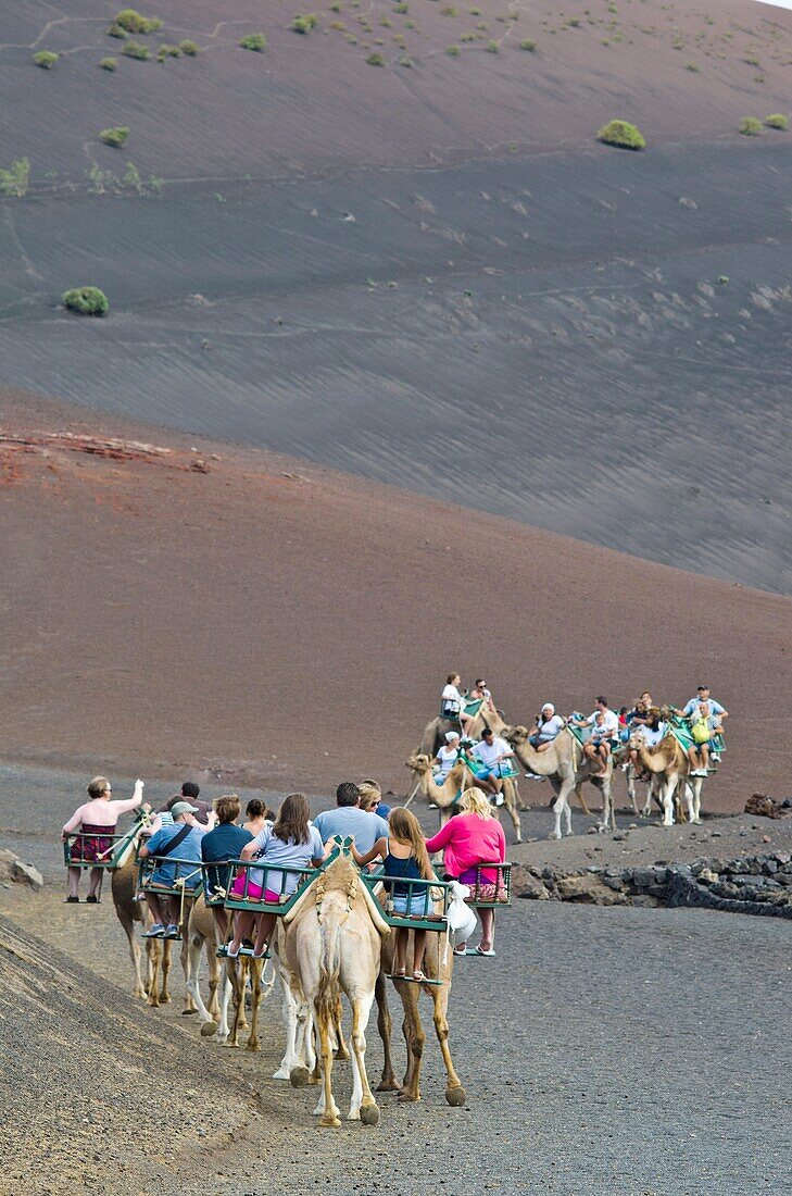 Tourist group at Timanfaya  Lanzarote, Canary Islands, Spain