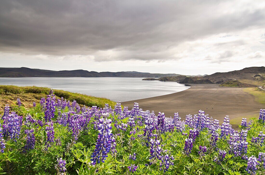 Kleifarvam  Nature Park  South west of Iceland